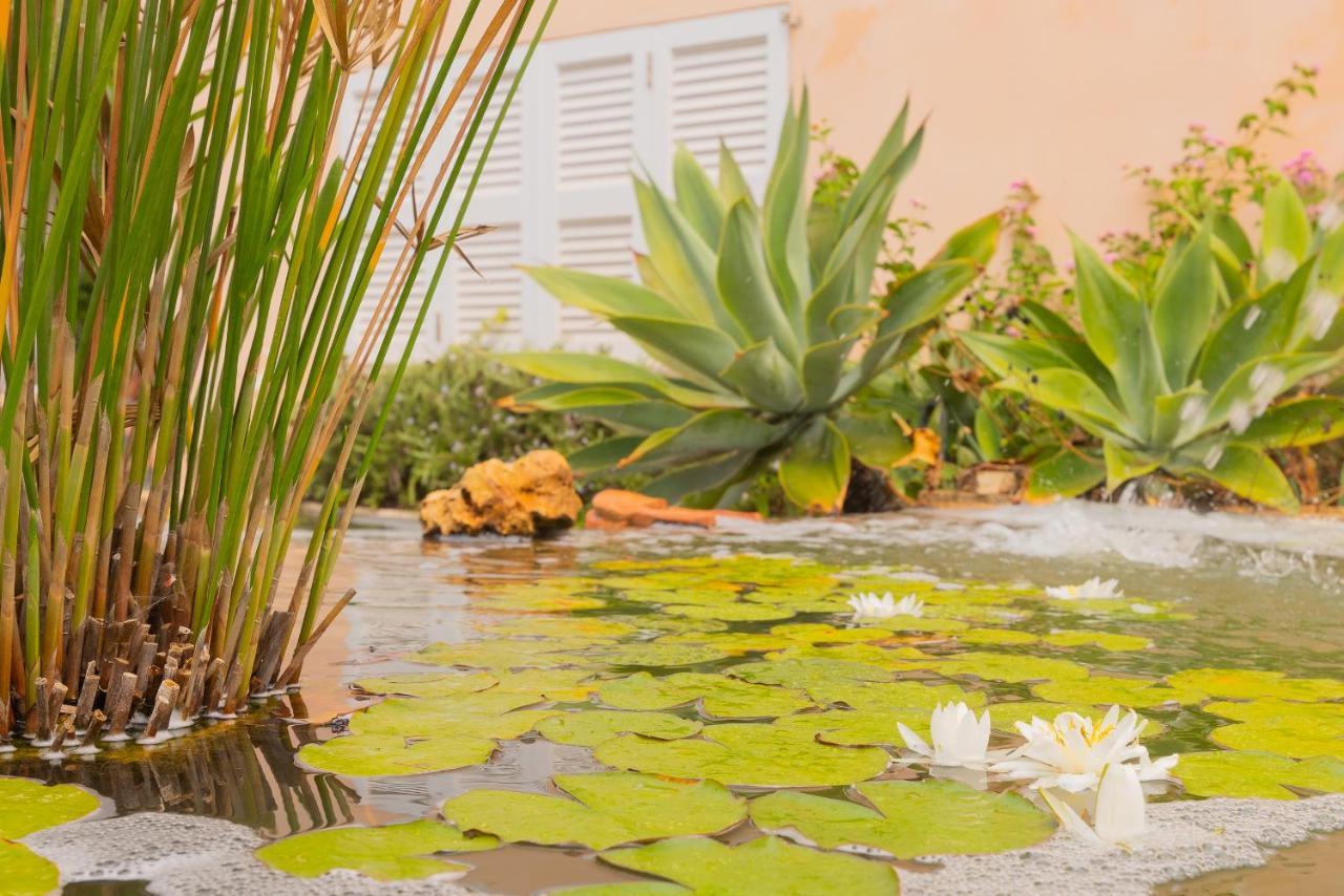 Villa Dolce Vita بويترو كولوم المظهر الخارجي الصورة